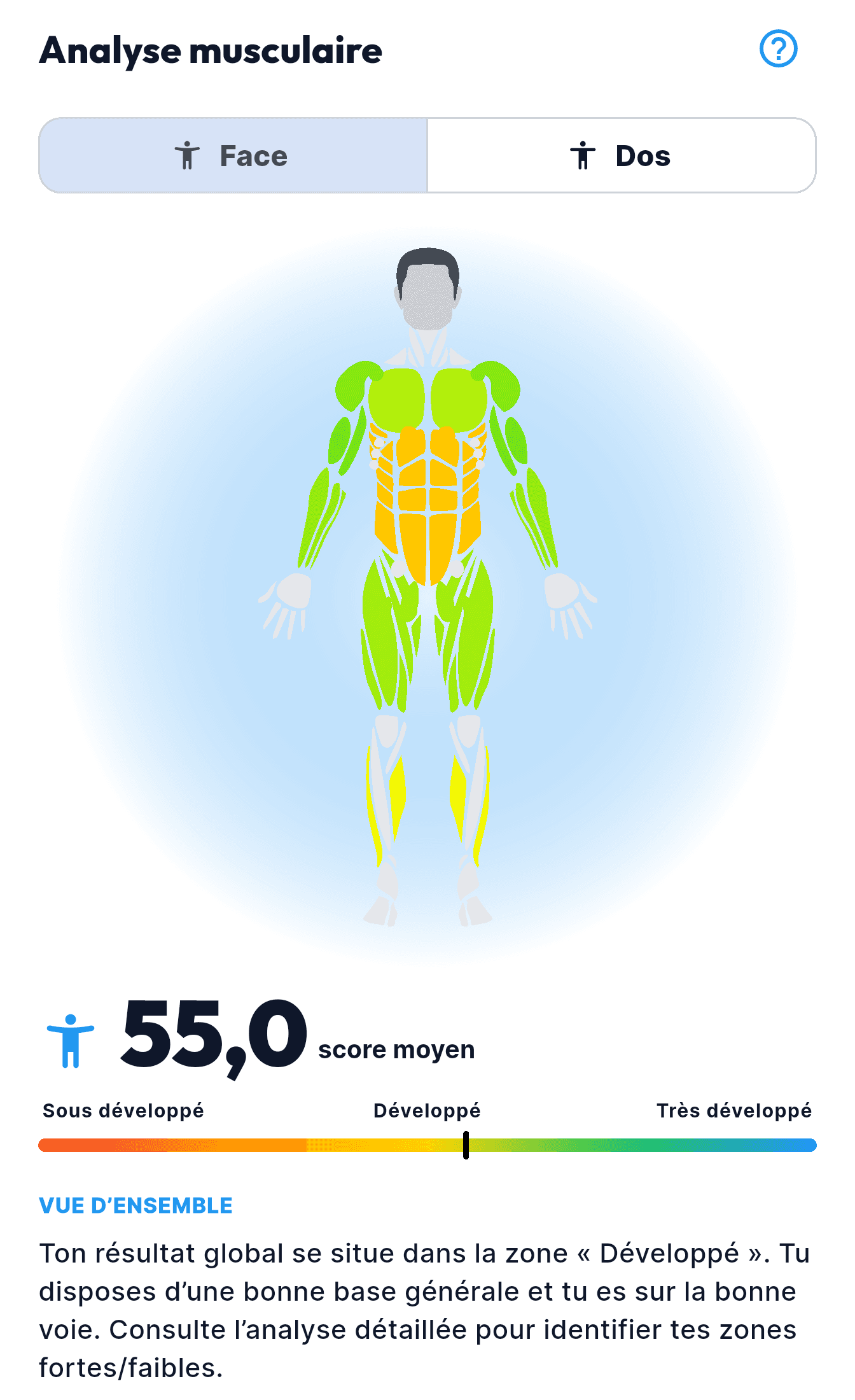 Nemeo's Body Scan report presents an analysis of muscular development