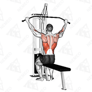 Animated demonstration of gentle style cable pulldown (pro lat bar)