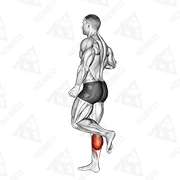 Animated demonstration of one leg floor calf raise