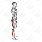 Animated demonstration of runners stretch