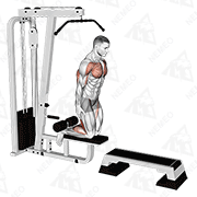 Animated demonstration of inverse leg curl (on pull-up cable machine)