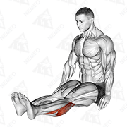Animated demonstration of seated calf stretch (male)