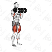 Animated demonstration of dumbbell bicep curl lunge with bowling motion