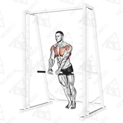 Animated demonstration of incline close-grip push-up