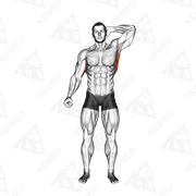 Animated demonstration of standing lateral stretch