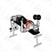 Animated demonstration of dumbbell decline hammer press
