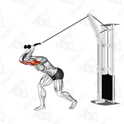 Animated demonstration of cable high pulley overhead tricep extension