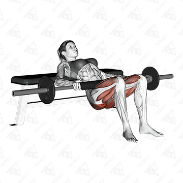 Animated demonstration of Barbell hip thrust