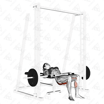 Animated demonstration of Smith machine hip thrust