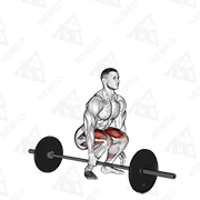 Animated demonstration of barbell one arm side deadlift