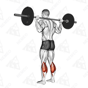 Animated demonstration of barbell floor calf raise