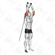 Animated demonstration of cable overhead triceps extension (rope attachment)
