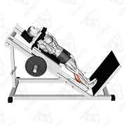 Animated demonstration of hack calf raise
