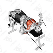Animated demonstration of cable decline press