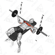 Animated demonstration of barbell wide reverse grip bench press horizontal