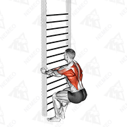 Animated demonstration of bodyweight squatting row