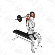 Animated demonstration of barbell seated close grip behind neck triceps extension