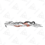 Animated demonstration of superman push-up