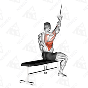 Animated demonstration of alternate lateral pulldown