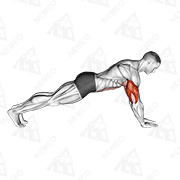 Démonstration animée de l’exercice pompes triceps (prise serrée)