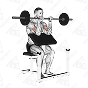 Animated demonstration of barbell reverse preacher curl