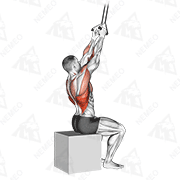 Animated demonstration of band fixed back close grip pulldown
