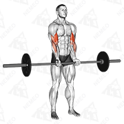 Animated demonstration of barbell standing close grip curl