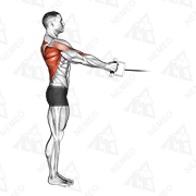 Dimostrazione animata di Pulldown con puleggia in piedi