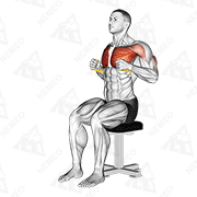 Animated demonstration of resistance band seated chest press
