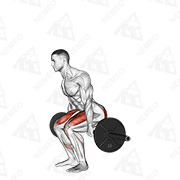 Animated demonstration of barbell hack squat