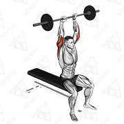Animated demonstration of barbell seated overhead triceps extension