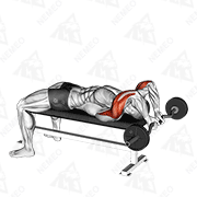 Animated demonstration of ez bar lying close grip triceps extension behind head