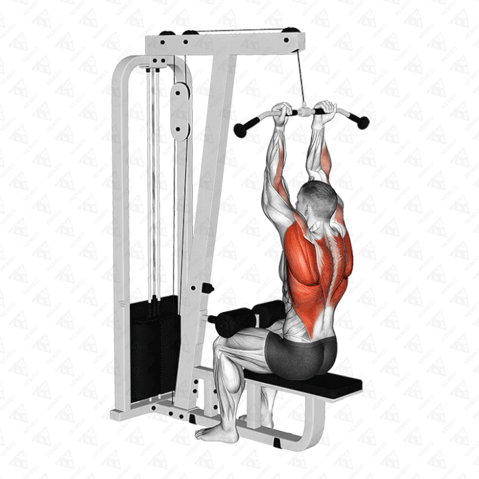 Animated demonstration of Reverse-grip lat pulldown