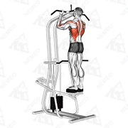 Animated demonstration of assisted standing chin-up