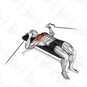 Animated demonstration of cable bench press