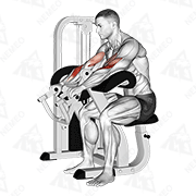 Dimostrazione animata di Machine overhand grip biceps curl