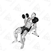 Animated demonstration of dumbbell palms in incline bench press