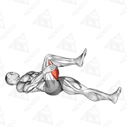 Animated demonstration of hamstring stretch