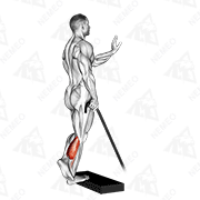 Animated demonstration of band single leg calf raise