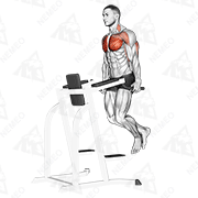 Animated demonstration of chest dip