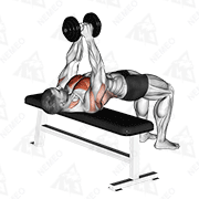 Animated demonstration of dumbbell pullover