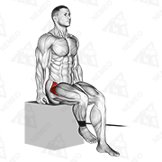 Animated demonstration of band seated hip internal rotation