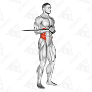 Animated demonstration of band horizontal pallof press