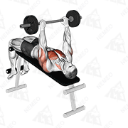 Animated demonstration of barbell decline pullover