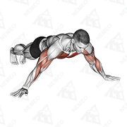 Animated demonstration of archer push up