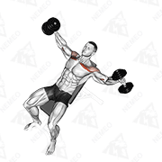 Animated demonstration of dumbbell incline breeding