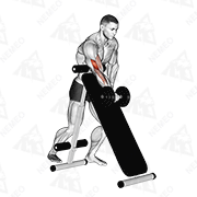 Animated demonstration of dumbbell standing one arm curl (over incline bench)