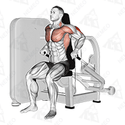 Animated demonstration of lever seated dip