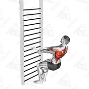 Animated demonstration of bodyweight squatting row (with towel)