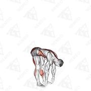 Animated demonstration of basic toe touch (male)